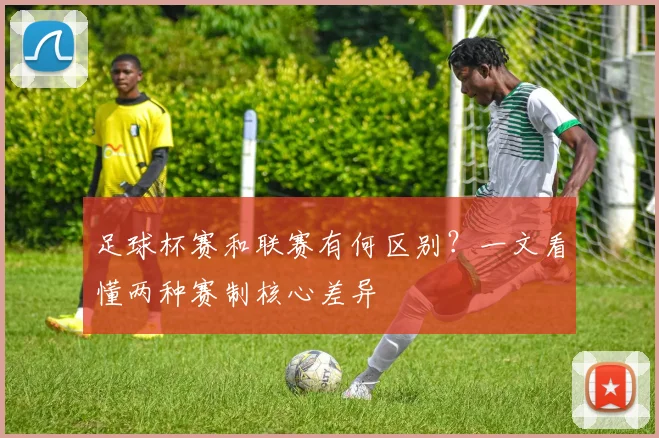 足球杯赛和联赛有何区别？一文看懂两种赛制核心差异